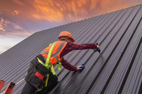 Roofer fastening a dark metal roof panel